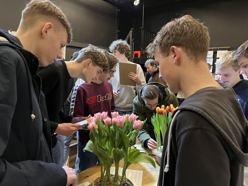 Wervershoof_4e_tulpenbeoordeling_2026