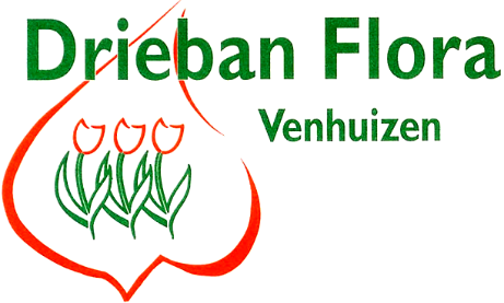 Dreiban-flora
